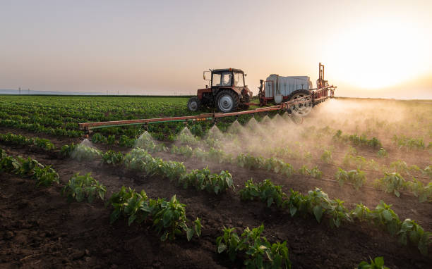 Best Insect Control  in Wmette, IL