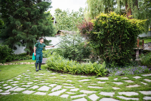 Best Wasp Removal Services  in Wmette, IL