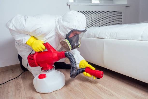Best Mosquito Control Services  in Wmette, IL