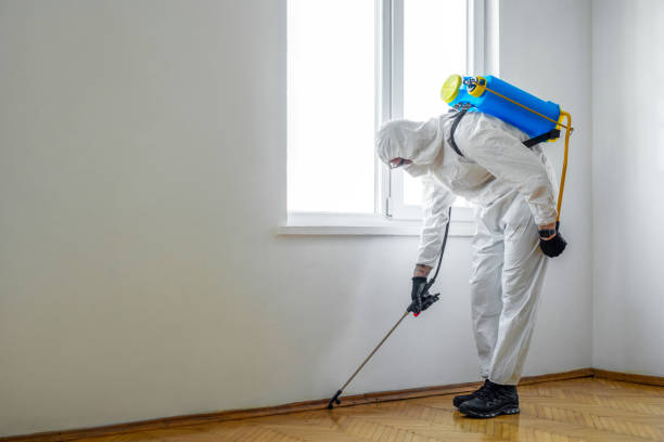 Professional Pest Control in Wilmette, IL
