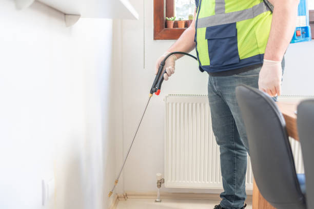 Best Emergency Pest Control  in Wmette, IL