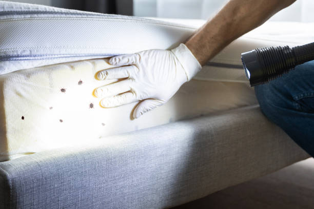 Best Commercial Pest Control Services  in Wmette, IL