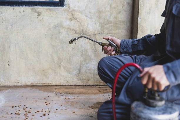 Best Affordable Pest Control Services  in Wmette, IL